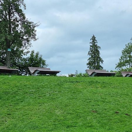 Fewo Zur Alten Tischlerei Herzberg am Harz Luaran gambar