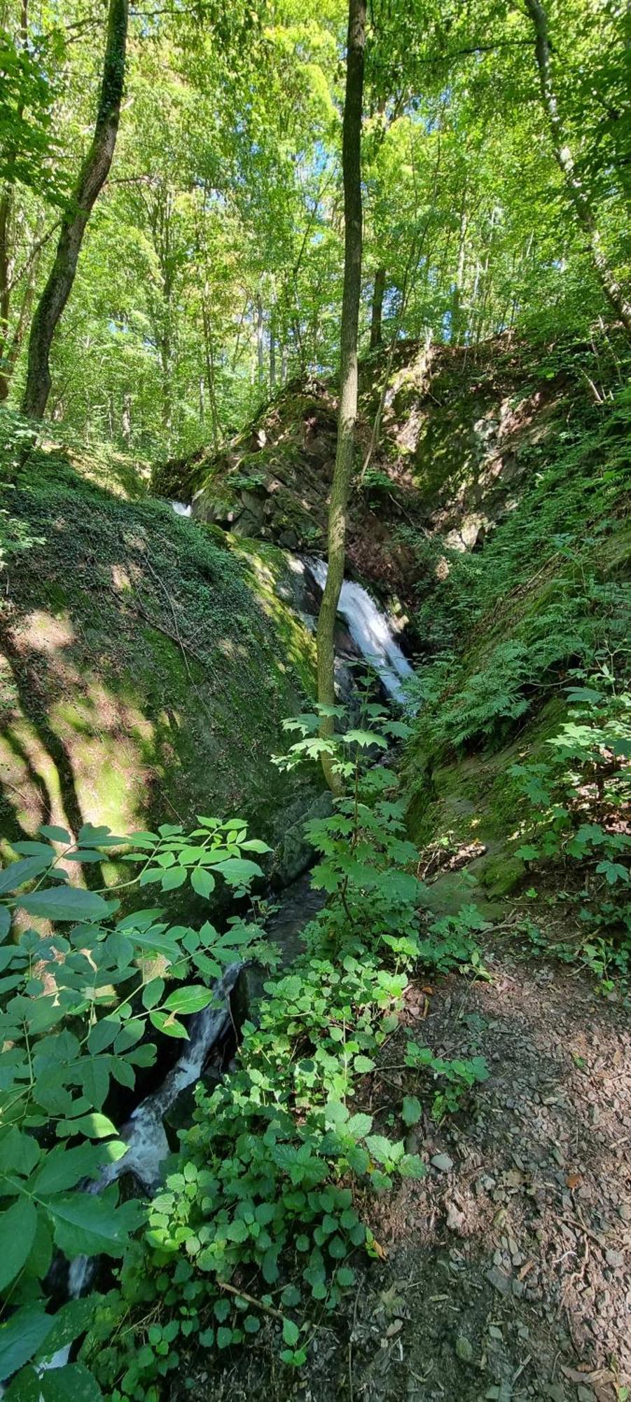 Fewo Zur Alten Tischlerei Herzberg am Harz Luaran gambar