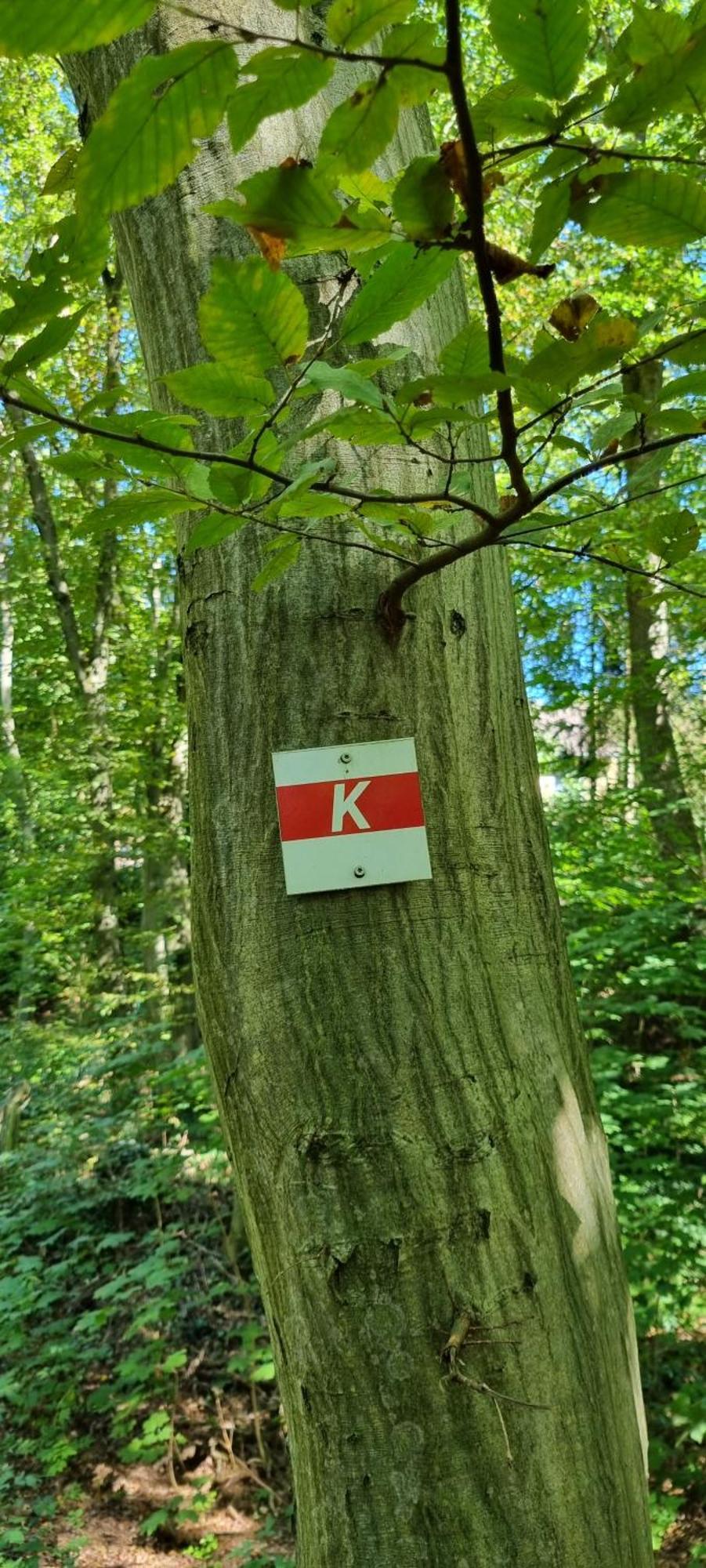 Fewo Zur Alten Tischlerei Herzberg am Harz Luaran gambar