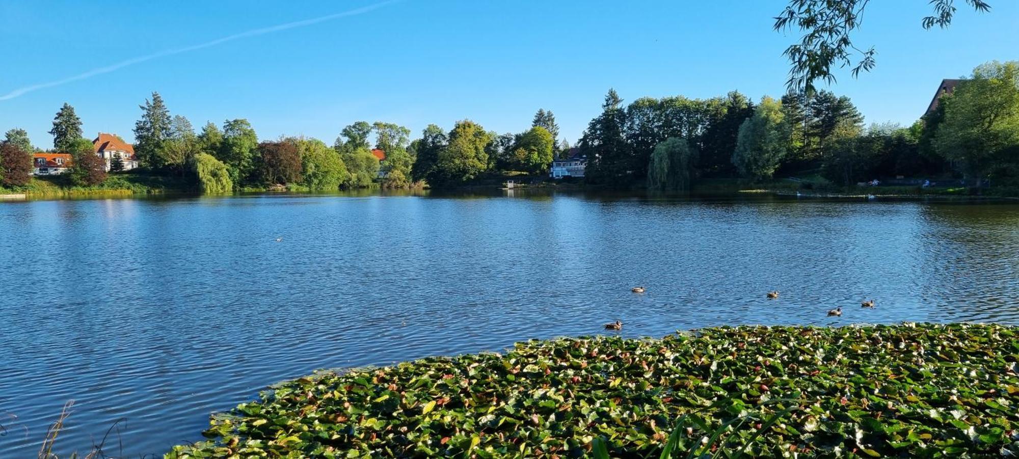 Fewo Zur Alten Tischlerei Herzberg am Harz Luaran gambar